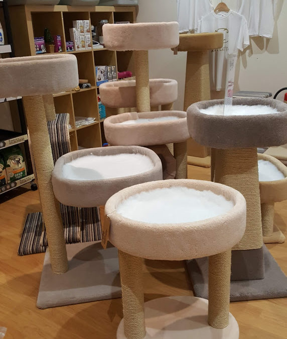 Catseye Cattery – now EXCLUSIVE Scottish Stockists for Kalven